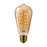 Ampolleta LED Philips Vintage Edison E27 ST64 5.5W Calida