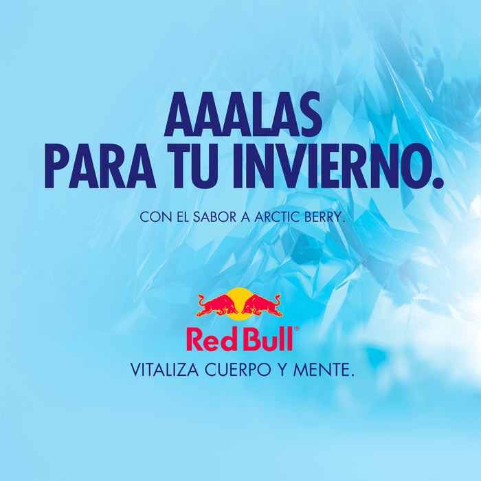 Red Bull Winter Edition 24 Latas 250ml